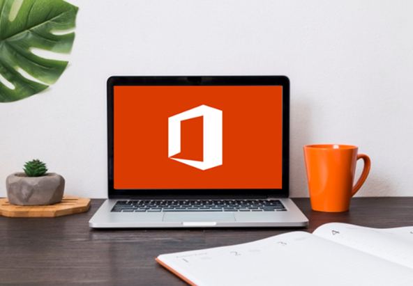 The Basics of MS Office